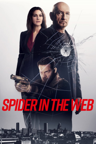 Spider In The Web (2019)