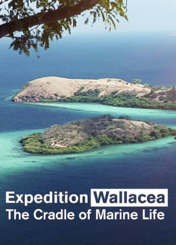 Wallacea - Expedition zur Wiege der Meeresfauna (2007)