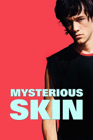 Mysterious Skin - Unter die Haut (2005)