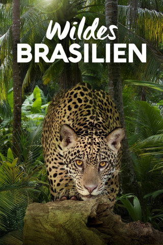 Wildes Brasilien (2014)
