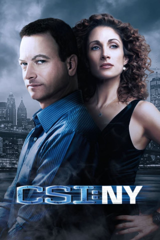 CSI: New York (2004)