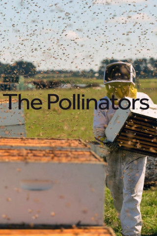 The Pollinators [OV] (2019)