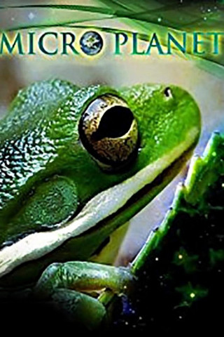 MicroPlanet 3D (2012)