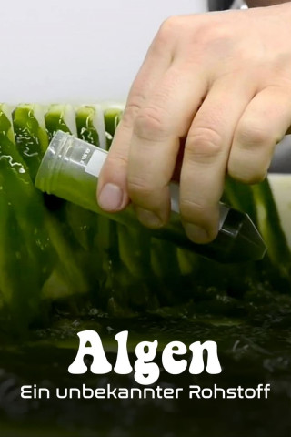 Algen: Ein unbekannter Rohstoff (2020)
