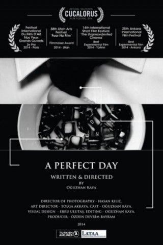 A Perfect Day (2015)