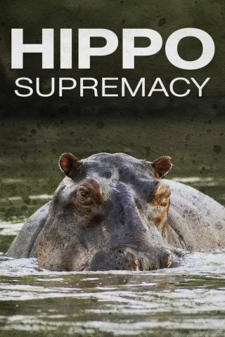 Hippo Supremacy (2023)