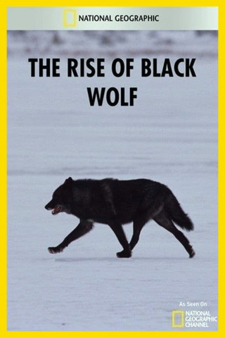 Das Geheimnis des schwarzen Wolfs (2010)