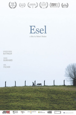 Esel (2015)