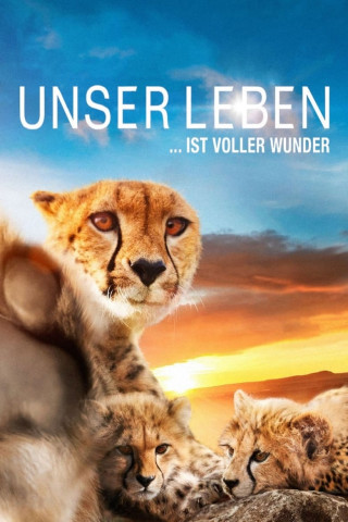 Unser Leben (2011)