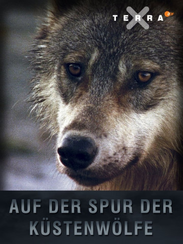 Terra X - Auf der Spur der Küstenwolfe (2007)