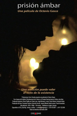 Prisión ámbar (2009)