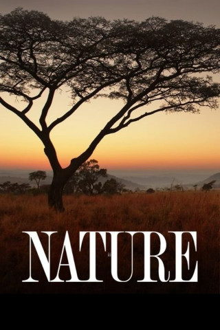 Nature (1982)