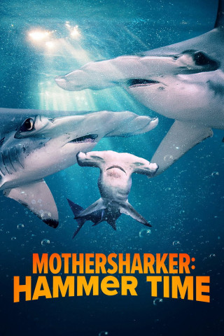 Mothersharker - Die Spur der Hammerhaie (2024)
