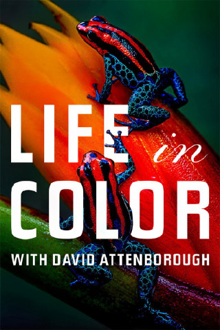 Das Leben in Farbe mit David Attenborough (2021)