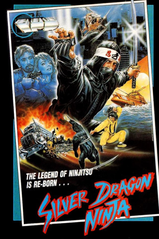 Ninja Challenge (1986)