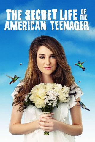 The Secret Life of the American Teenager (2008)