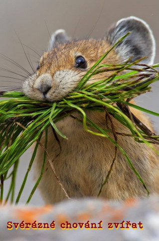 Natural Born Rebels (2018)