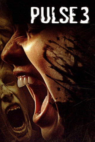 Pulse 3: The Invasion (2008)