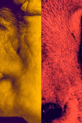 Das Tier im Menschen (2020)