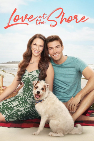 Amore sull'onda (2017)