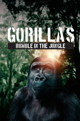 Gorillas: Rumble in the Jungle (2020)
