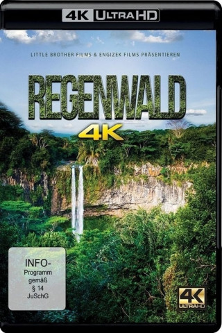 Regenwald (2016)