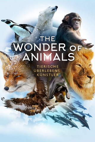 The Wonder of Animals - Tierische Überlebenskünstler (2014)