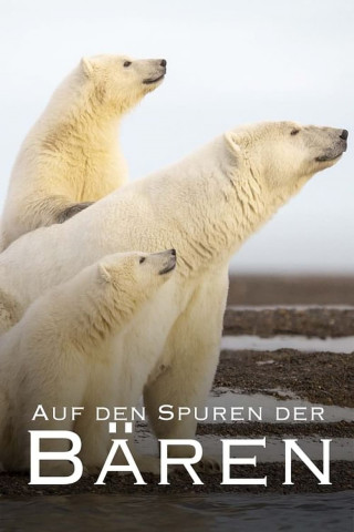 Auf den Spuren der Bären (2024)