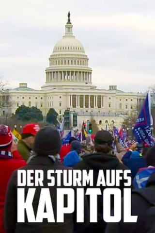 Der Sturm aufs Kapitol (2022)