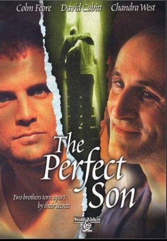The Perfect Son (2000)