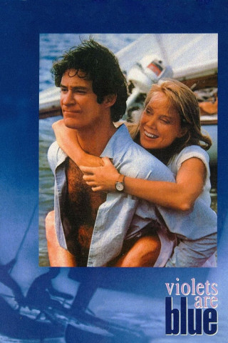 Liebe ist nur eine Illusion (1986)