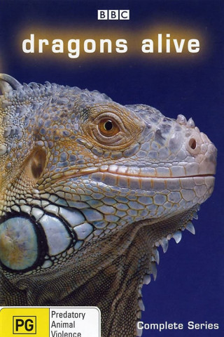 Die letzten Drachen (2004)