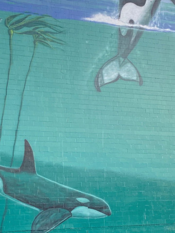 Über den Todespass (1954)