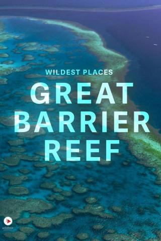 Das Great Barrier Reef (2012)