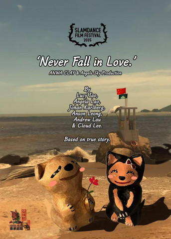 Never Fall in Love (2017)