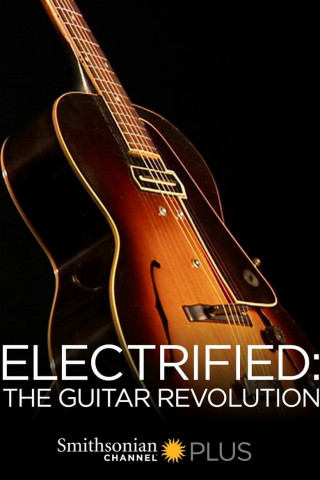 Elektrisiert: Die Revolution der Gitarre (2010)