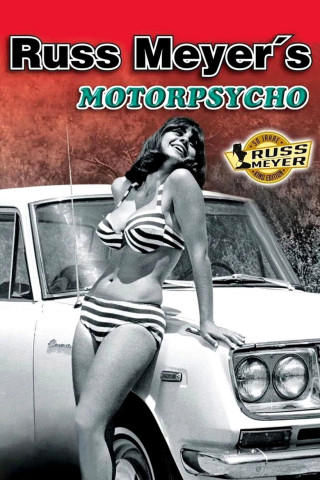 Motorpsycho - Wie wilde Hengste (1965)