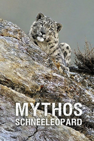 Mythos Schneeleopard (2024)