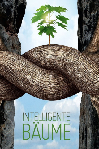 Intelligente Bäume (2017)