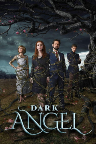 Dark Angel (2019)