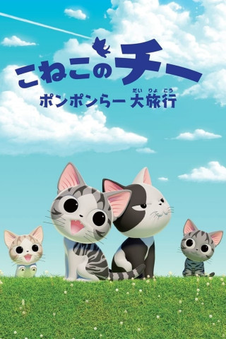 Kleine Katze Chi (2016)