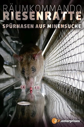 Räumkommando Riesenratte - Spürnasen auf Minensuche (2008)