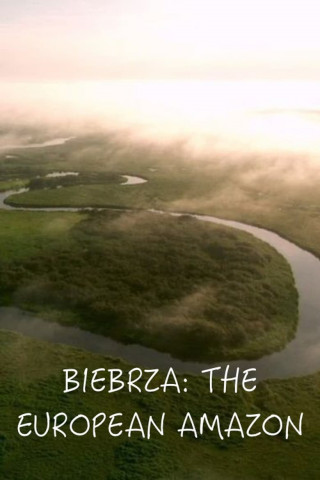 Biebrza. Między jawą a snem (2016)