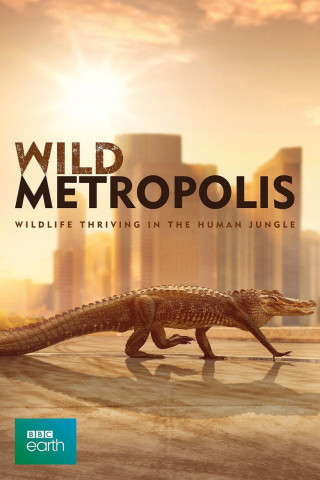 Wild Metropolis Großstadtdschungel (2019)