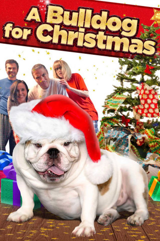 Eine Bulldogge zu Weihnachten (2013)