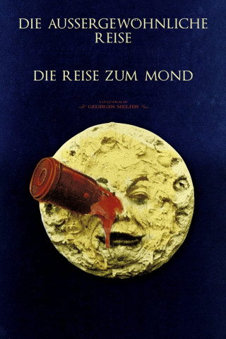 Die außergewöhnliche Reise (2011)
