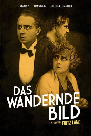 Das wandernde Bild (1920)