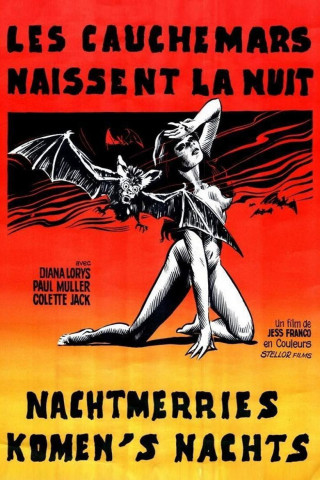 Die nackten Augen der Nacht (1973)