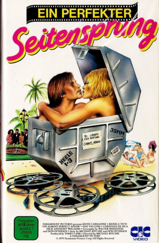 Ein perfekter Seitensprung (1979)
