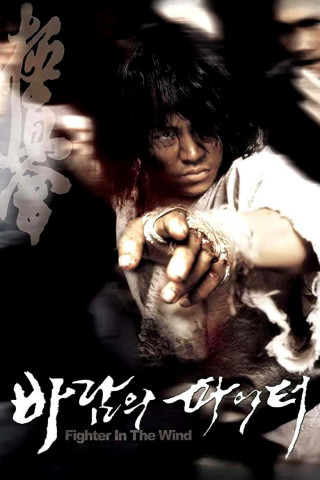 Fighter In The Wind (2004)